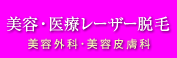 美容・医療レーザー脱毛　美容外科・美容皮膚科